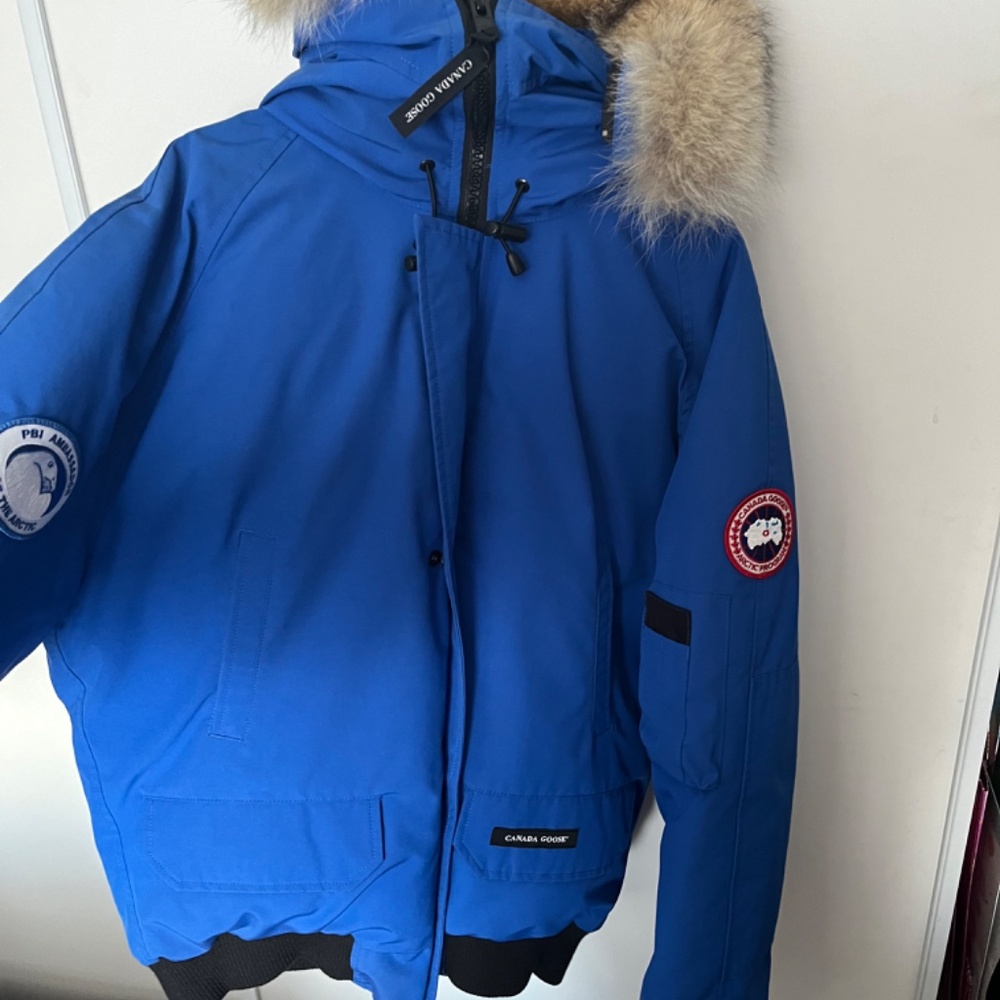 Canada Goose Chilliwack bomber BPI blue jacket - Picture 4 of 4